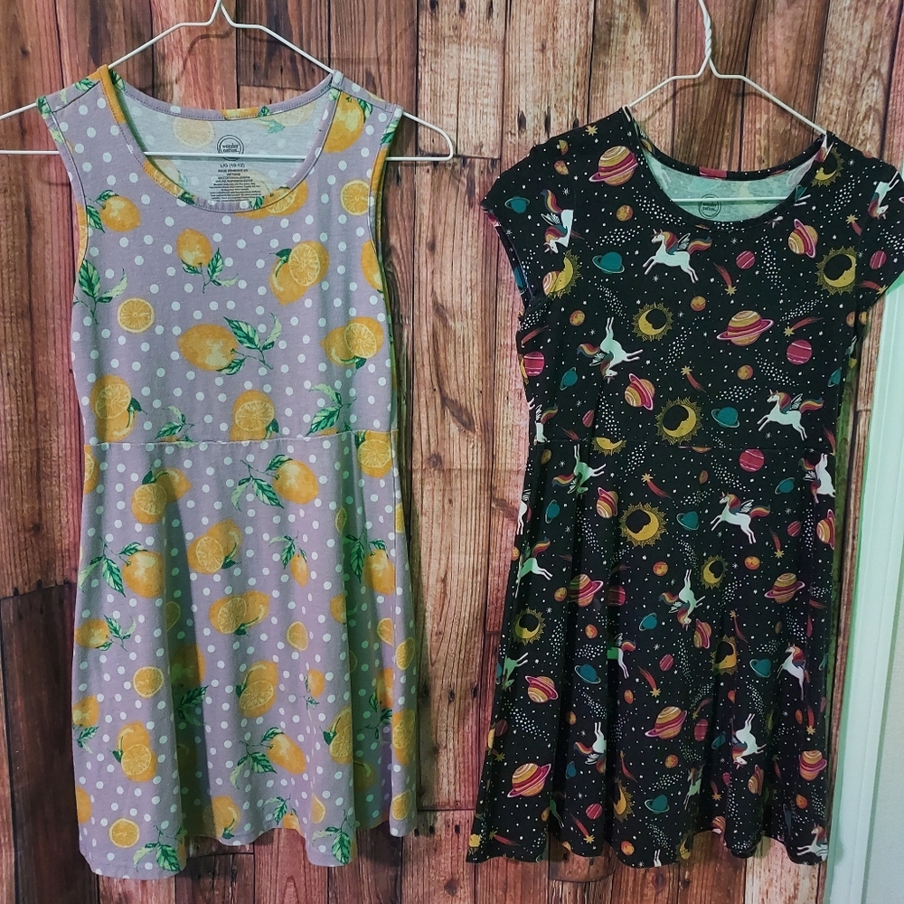 Girls dresses sz 10-12 lot of two